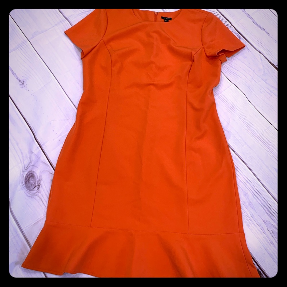 Ann Taylor Size 14 Brand New Dress with tag